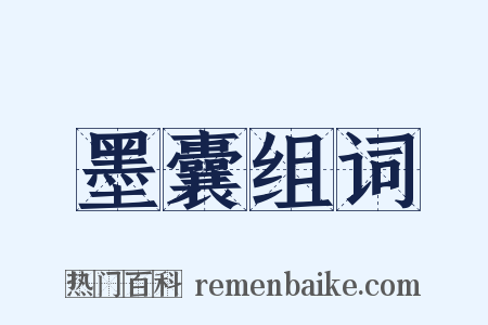 墨囊组词是什么意思的图片